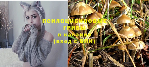 дурь Абинск